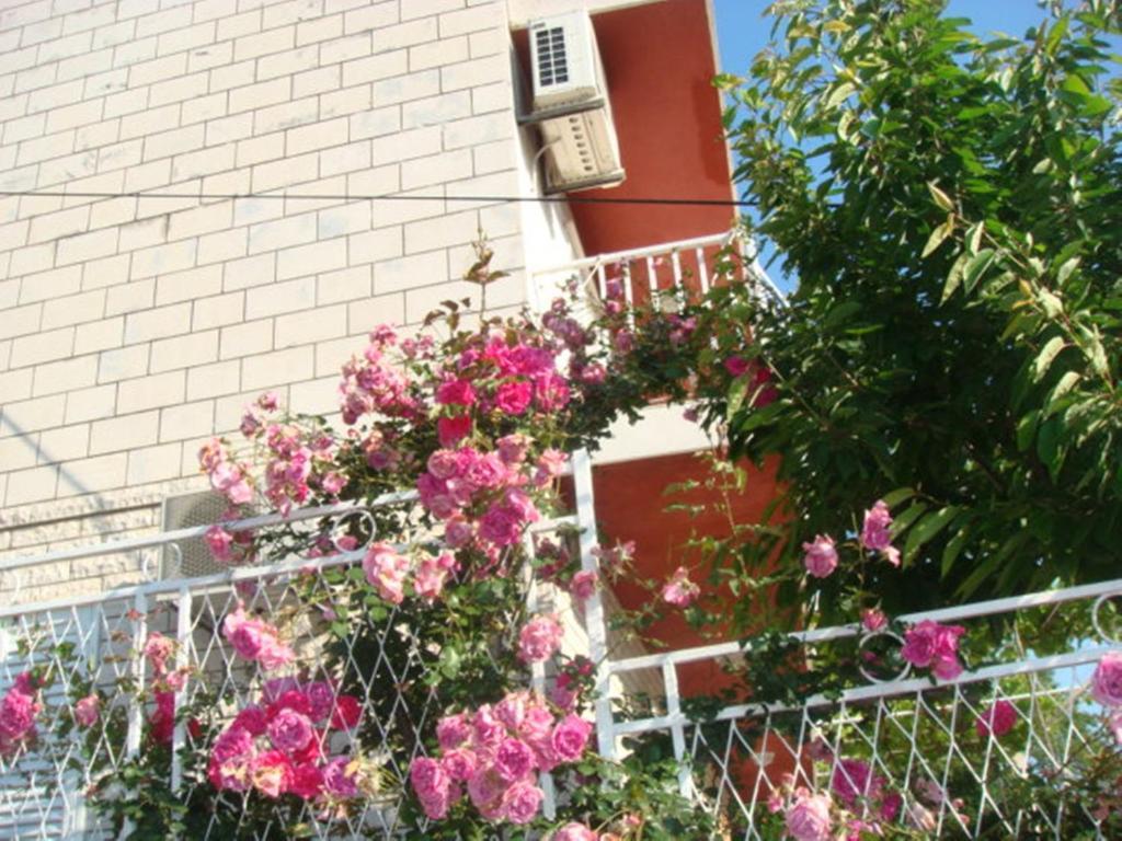 Apartments Lile Ντουμπρόβνικ Εξωτερικό φωτογραφία