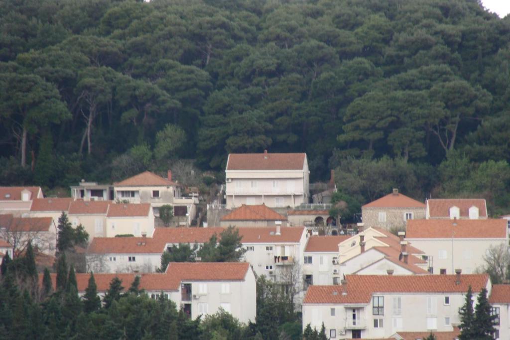 Apartments Lile Ντουμπρόβνικ Εξωτερικό φωτογραφία